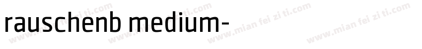 rauschenb medium字体转换